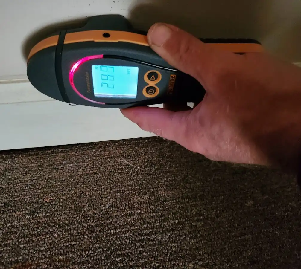 Moisture detection at baseboard during Mold Inspection & Testing in Howard